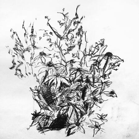 rough-flower-sketch